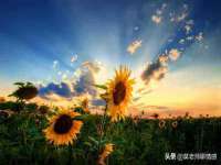 上海畅锦邦网络科技有限公司