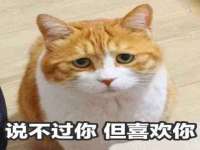 上海畅锦邦网络科技有限公司