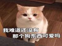 上海畅锦邦网络科技有限公司