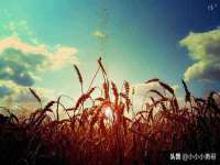 上海畅锦邦网络科技有限公司