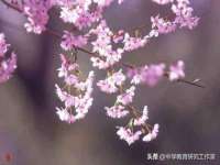 上海畅锦邦网络科技有限公司