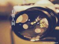 上海畅锦邦网络科技有限公司
