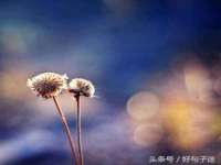 上海畅锦邦网络科技有限公司