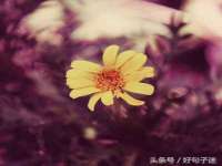 上海畅锦邦网络科技有限公司