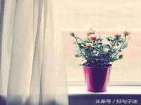 上海畅锦邦网络科技有限公司