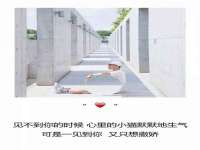 上海畅锦邦网络科技有限公司