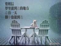 上海畅锦邦网络科技有限公司