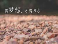 上海畅锦邦网络科技有限公司