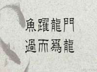 上海畅锦邦网络科技有限公司