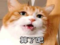 上海畅锦邦网络科技有限公司