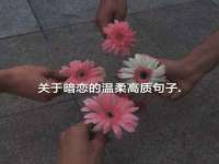 上海畅锦邦网络科技有限公司