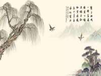 上海畅锦邦网络科技有限公司
