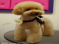 上海畅锦邦网络科技有限公司