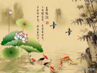 上海畅锦邦网络科技有限公司