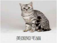 上海畅锦邦网络科技有限公司