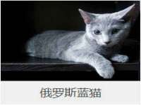 上海畅锦邦网络科技有限公司