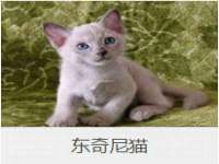 上海畅锦邦网络科技有限公司