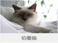 上海畅锦邦网络科技有限公司