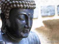 上海畅锦邦网络科技有限公司
