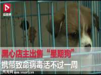 上海畅锦邦网络科技有限公司