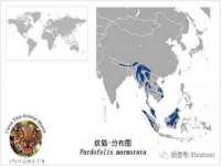 上海畅锦邦网络科技有限公司