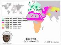 上海畅锦邦网络科技有限公司