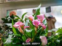 上海畅锦邦网络科技有限公司