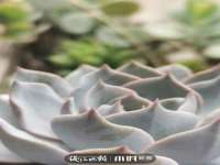 上海畅锦邦网络科技有限公司
