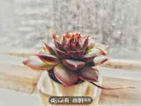 上海畅锦邦网络科技有限公司