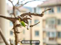 上海畅锦邦网络科技有限公司
