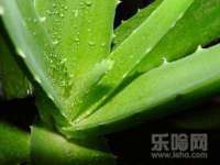 上海畅锦邦网络科技有限公司