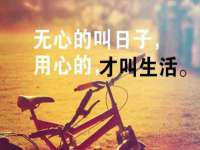 上海畅锦邦网络科技有限公司