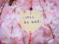 上海畅锦邦网络科技有限公司