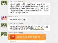 上海畅锦邦网络科技有限公司