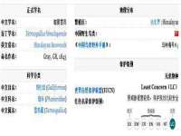 上海畅锦邦网络科技有限公司