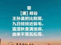 上海畅锦邦网络科技有限公司