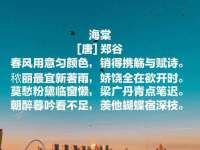 上海畅锦邦网络科技有限公司