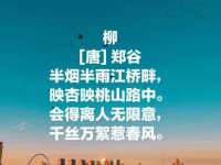 上海畅锦邦网络科技有限公司
