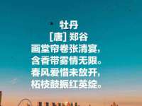 上海畅锦邦网络科技有限公司