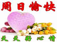 上海畅锦邦网络科技有限公司