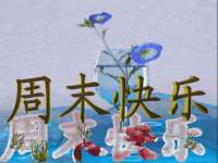 上海畅锦邦网络科技有限公司