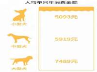 上海畅锦邦网络科技有限公司
