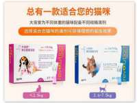 上海畅锦邦网络科技有限公司