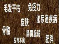 上海畅锦邦网络科技有限公司