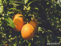 上海畅锦邦网络科技有限公司