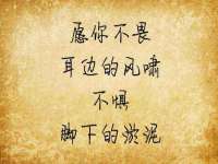 上海畅锦邦网络科技有限公司
