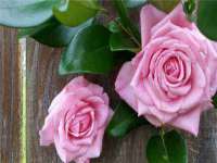 上海畅锦邦网络科技有限公司