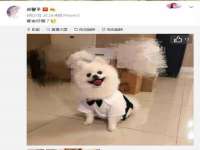 上海畅锦邦网络科技有限公司