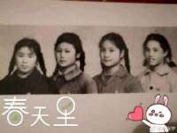 上海畅锦邦网络科技有限公司