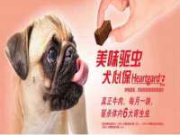 上海畅锦邦网络科技有限公司
